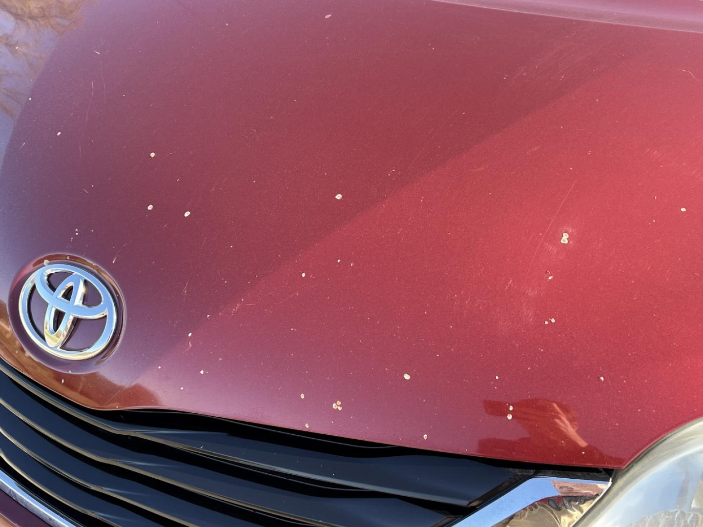 2011 MAROON /Gray Cloth Toyota Sienna LE 8-Pass V6 (5TDKK3DC4BS) with an 3.5L V6 engine, Automatic transmission, located at 506 S. Kingshighway, Cape Girardeau, MO, 63703, (573) 235-5000, 37.294991, -89.553635 - 2011 Toyota Sienna LE Local 1-Owner 199xxx miles Front Wheel Drive 3.5L V6 Automatic 3rd Row Power Driver Seat Backup Camera Cruise Power Windows/Locks/Mirrors We have financing available and we accept trades! Fill out a credit application on our website or come by today! If you have any - Photo#43