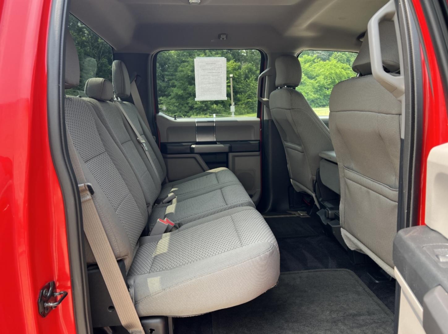 2015 RED /Gray Cloth Ford F-150 XLT SuperCrew 6.5-ft. Bed 4WD (1FTEW1EP6FK) with an 2.7L V6 engine, Automatic transmission, located at 2990 Old Orchard Rd., Jackson, MO, 63755, 37.354214, -89.612106 - 2015 Ford F-150 XLT Only 48xxx miles 4x4 2.7L V6 Automatic Backup Camera Power Driver Seat New Tires Bluetooth Cruise Power Windows/Locks/Mirrors We have financing available and we accept trades! Fill out a credit application on our website or come by today! If you have any questions, gi - Photo#17