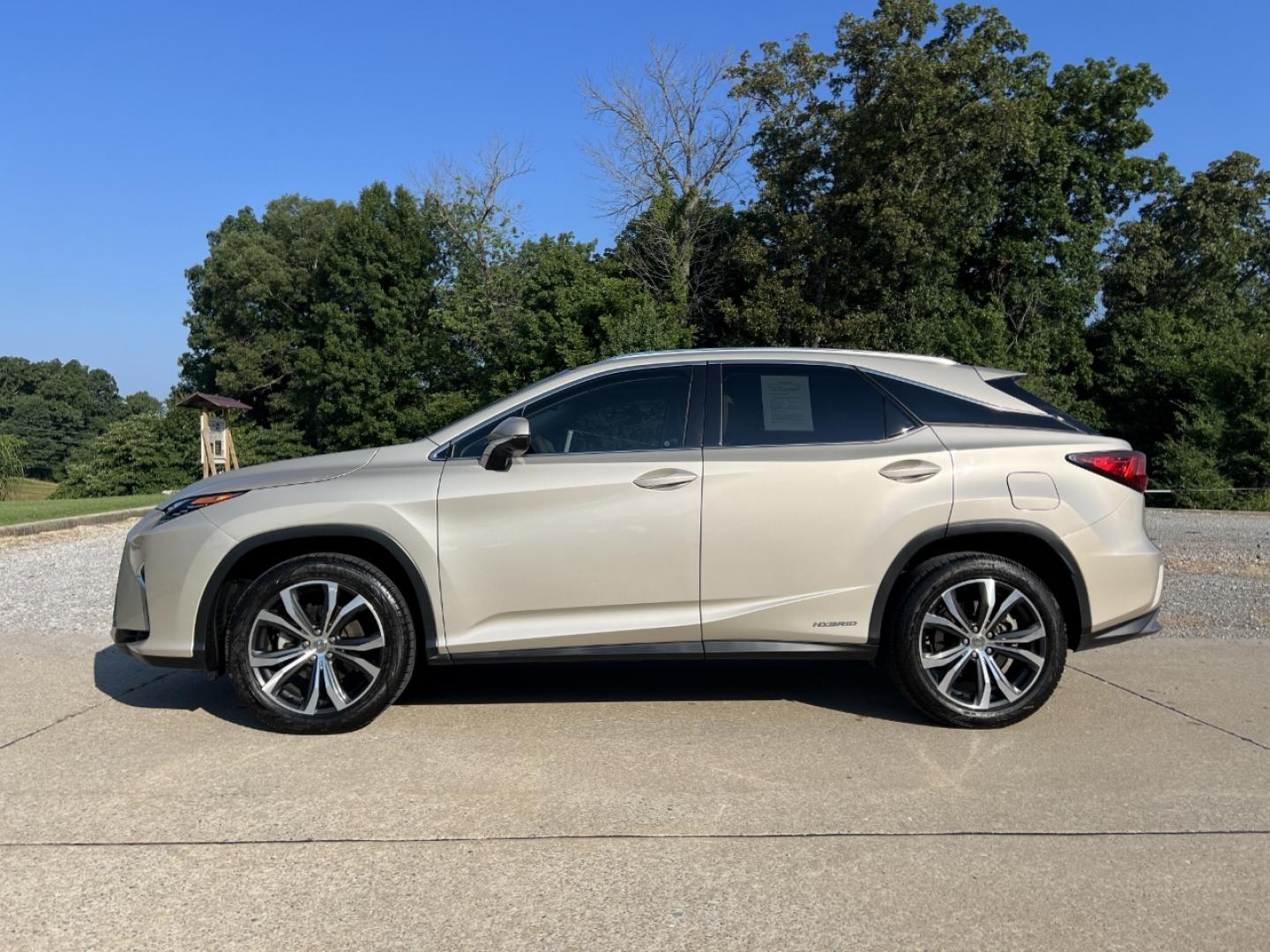 2016 GOLD /Tan Leather Lexus RX 450h AWD (2T2BGMCA0GC) with an 3.5L V6 HYBRID engine, CVT transmission, located at 2990 Old Orchard Rd., Jackson, MO, 63755, 37.354214, -89.612106 - 2016 Lexus RX 450h 182xxx miles All Wheel Drive 3.5L V6 Hybrid Automatic Leather Navigation Power/Heated/Cooled Seats Heated Steering Wheel Backup Camera Sunroof Bluetooth Cruise Power Windows/Locks/Mirrors We have financing available and we accept trades! Fill out a credit application - Photo#8