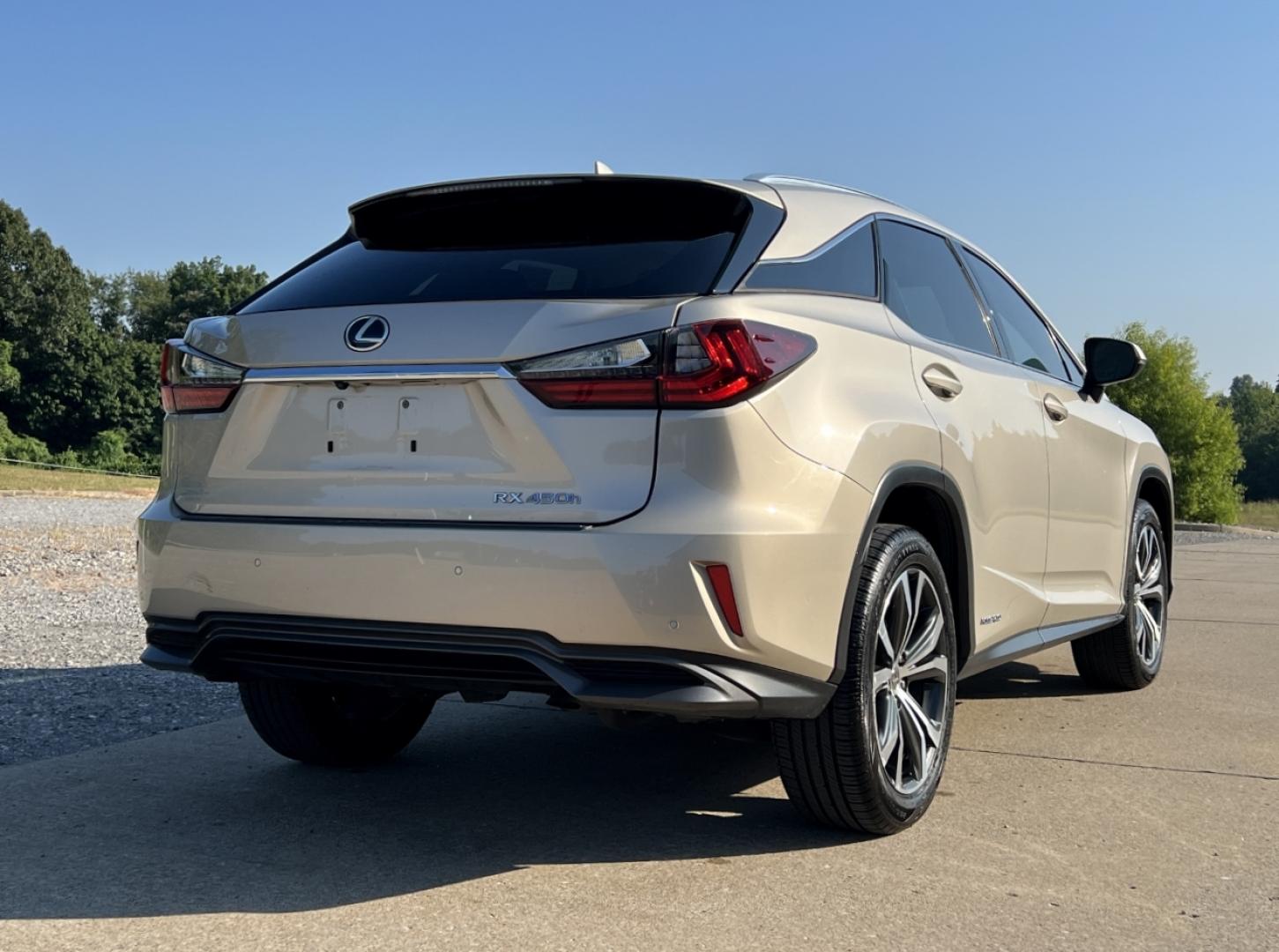 2016 GOLD /Tan Leather Lexus RX 450h AWD (2T2BGMCA0GC) with an 3.5L V6 HYBRID engine, CVT transmission, located at 2990 Old Orchard Rd., Jackson, MO, 63755, 37.354214, -89.612106 - 2016 Lexus RX 450h 182xxx miles All Wheel Drive 3.5L V6 Hybrid Automatic Leather Navigation Power/Heated/Cooled Seats Heated Steering Wheel Backup Camera Sunroof Bluetooth Cruise Power Windows/Locks/Mirrors We have financing available and we accept trades! Fill out a credit application - Photo#10