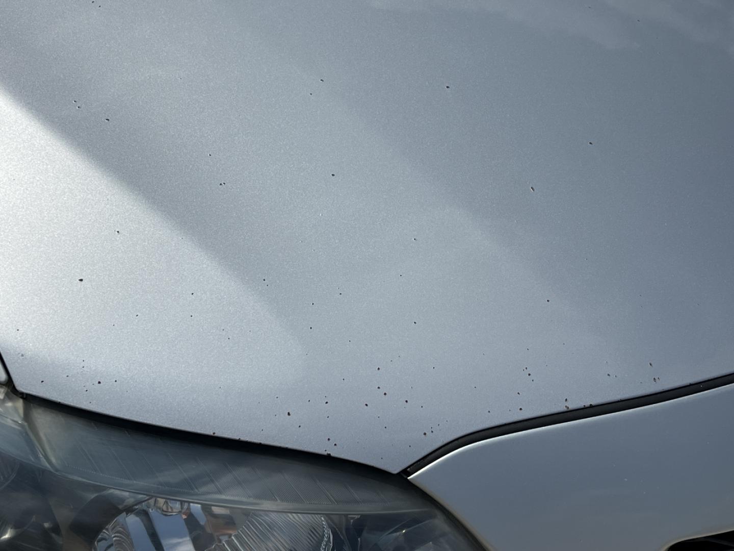 2009 SILVER /Black Cloth Toyota Corolla XRS (1NXBE40E89Z) with an 1.8L 4 Cyl. engine, 5-Speed Manual transmission, located at 2990 Old Orchard Rd., Jackson, MO, 63755, 37.354214, -89.612106 - 2009 Toyota Corolla XRS 157xxx miles Front Wheel Drive 2.4L 4 Cyl. 5-Speed Manual Sunroof Cruise Power Windows/Locks/Mirrors We have financing available and we accept trades! Fill out a credit application on our website or come by today! If you have any questions, give us a call at (573) 20 - Photo#39