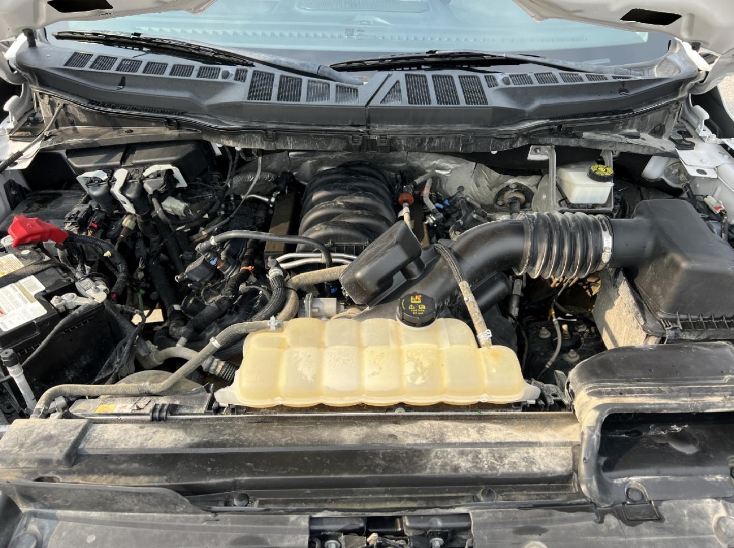 2022 WHITE /Gray Cloth Ford F-150 XLT SuperCrew 6.5-ft. Bed 4WD (1FTFW1E59NF) with an 5.0L V8 engine, Automatic transmission, located at 506 S. Kingshighway, Cape Girardeau, MO, 63703, (573) 235-5000, 37.294991, -89.553635 - 2022 Ford F-150 XLT 1-Owner 78xxx miles 4x4 5.0L V8 Automatic Backup Camera Power/Heated Seats Bluetooth Remote Start Cruise Power Windows/Locks/Mirrors We have financing available and we accept trades! Fill out a credit application on our website or come by today! If you have any quest - Photo#35