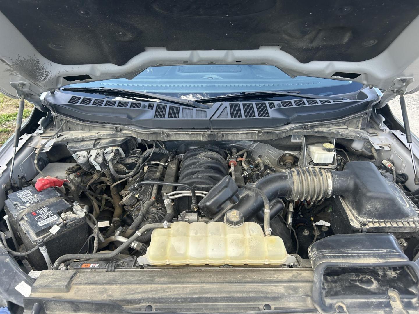2021 SILVER /Gray Ford F-150 XL SuperCrew 6.5-ft. Bed 4WD (1FTFW1E51MK) with an 5.0L V8 OHV 16V engine, 6A transmission, located at 506 S. Kingshighway, Cape Girardeau, MO, 63703, (573) 235-5000, 37.294991, -89.553635 - 2021 Ford F-150 XLT 1-Owner 93xxx miles 4x4 5.0L V8 Automatic Backup Camera Power/Heated Seats Bluetooth Remote Start Cruise Power Windows/Locks/Mirrors We have financing available and we accept trades! Fill out a credit application on our website or come by today! If you have any quest - Photo#16