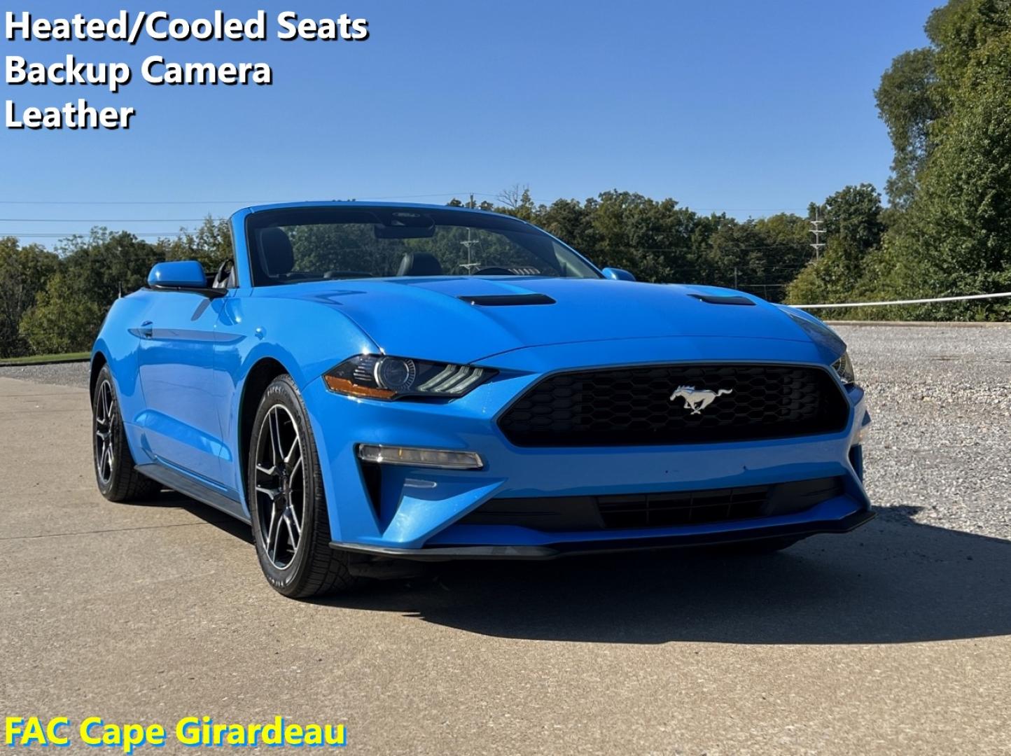2022 BLUE /Black Leather Ford Mustang EcoBoost Premium Convertible (1FATP8UH4N5) with an 2.3L 4 Cyl. engine, Automatic transmission, located at 506 S. Kingshighway, Cape Girardeau, MO, 63703, (573) 235-5000, 37.294991, -89.553635 - 2022 Ford Mustang Ecoboost Premium 59xxx miles Rear Wheel Drive 2.3L 4 Cyl. Automatic Leather Power/Heated/Cooled Seats Backup Camera Bluetooth Remote Start Cruise Power Windows/Locks/Mirrors We have financing available and we accept trades! Fill out a credit application on our website o - Photo#0