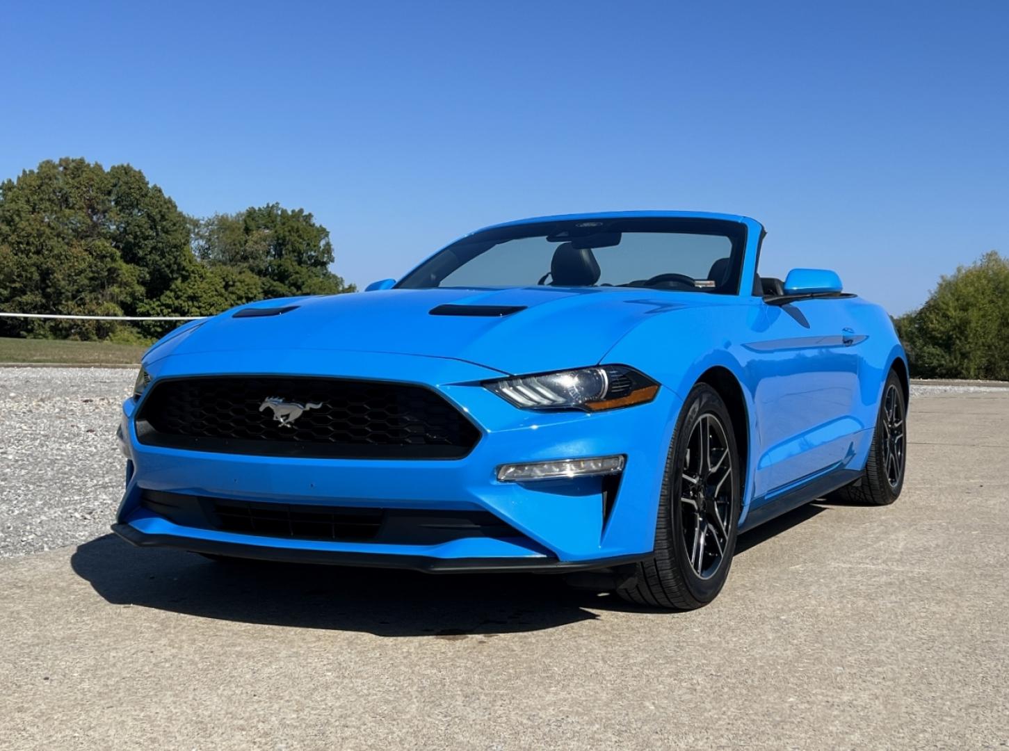 2022 BLUE /Black Leather Ford Mustang EcoBoost Premium Convertible (1FATP8UH4N5) with an 2.3L 4 Cyl. engine, Automatic transmission, located at 506 S. Kingshighway, Cape Girardeau, MO, 63703, (573) 235-5000, 37.294991, -89.553635 - 2022 Ford Mustang Ecoboost Premium 59xxx miles Rear Wheel Drive 2.3L 4 Cyl. Automatic Leather Power/Heated/Cooled Seats Backup Camera Bluetooth Remote Start Cruise Power Windows/Locks/Mirrors We have financing available and we accept trades! Fill out a credit application on our website o - Photo#6