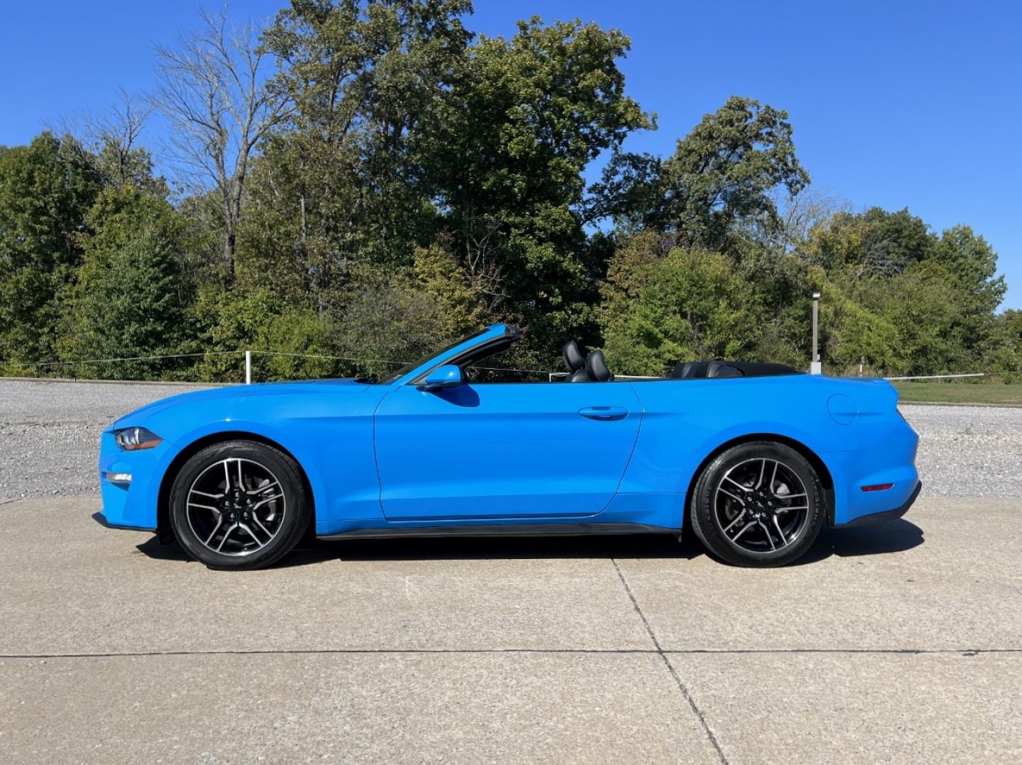 2022 BLUE /Black Leather Ford Mustang EcoBoost Premium Convertible (1FATP8UH4N5) with an 2.3L 4 Cyl. engine, Automatic transmission, located at 506 S. Kingshighway, Cape Girardeau, MO, 63703, (573) 235-5000, 37.294991, -89.553635 - 2022 Ford Mustang Ecoboost Premium 59xxx miles Rear Wheel Drive 2.3L 4 Cyl. Automatic Leather Power/Heated/Cooled Seats Backup Camera Bluetooth Remote Start Cruise Power Windows/Locks/Mirrors We have financing available and we accept trades! Fill out a credit application on our website o - Photo#7