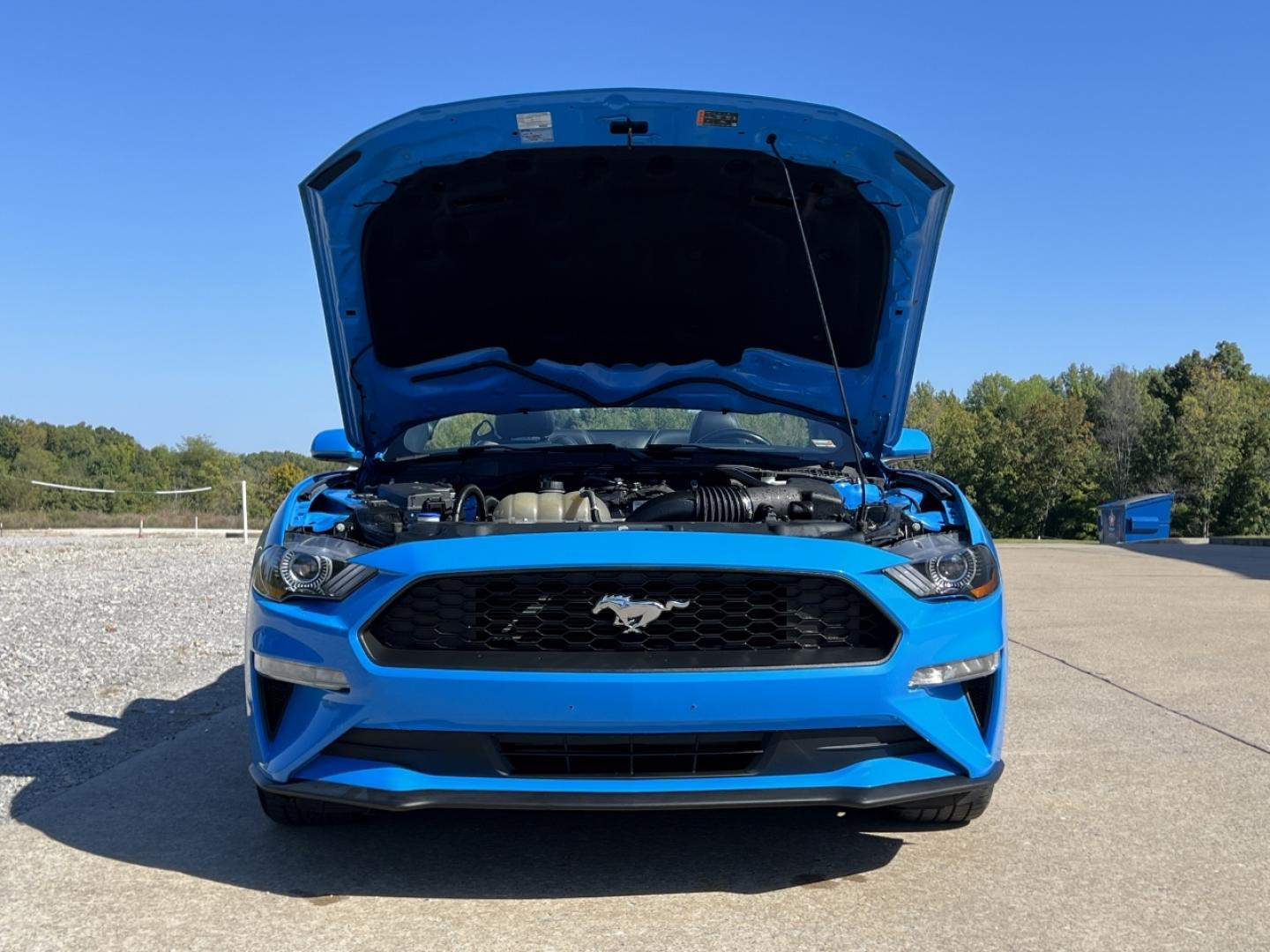 2022 BLUE /Black Leather Ford Mustang EcoBoost Premium Convertible (1FATP8UH4N5) with an 2.3L 4 Cyl. engine, Automatic transmission, located at 506 S. Kingshighway, Cape Girardeau, MO, 63703, (573) 235-5000, 37.294991, -89.553635 - 2022 Ford Mustang Ecoboost Premium 59xxx miles Rear Wheel Drive 2.3L 4 Cyl. Automatic Leather Power/Heated/Cooled Seats Backup Camera Bluetooth Remote Start Cruise Power Windows/Locks/Mirrors We have financing available and we accept trades! Fill out a credit application on our website o - Photo#34