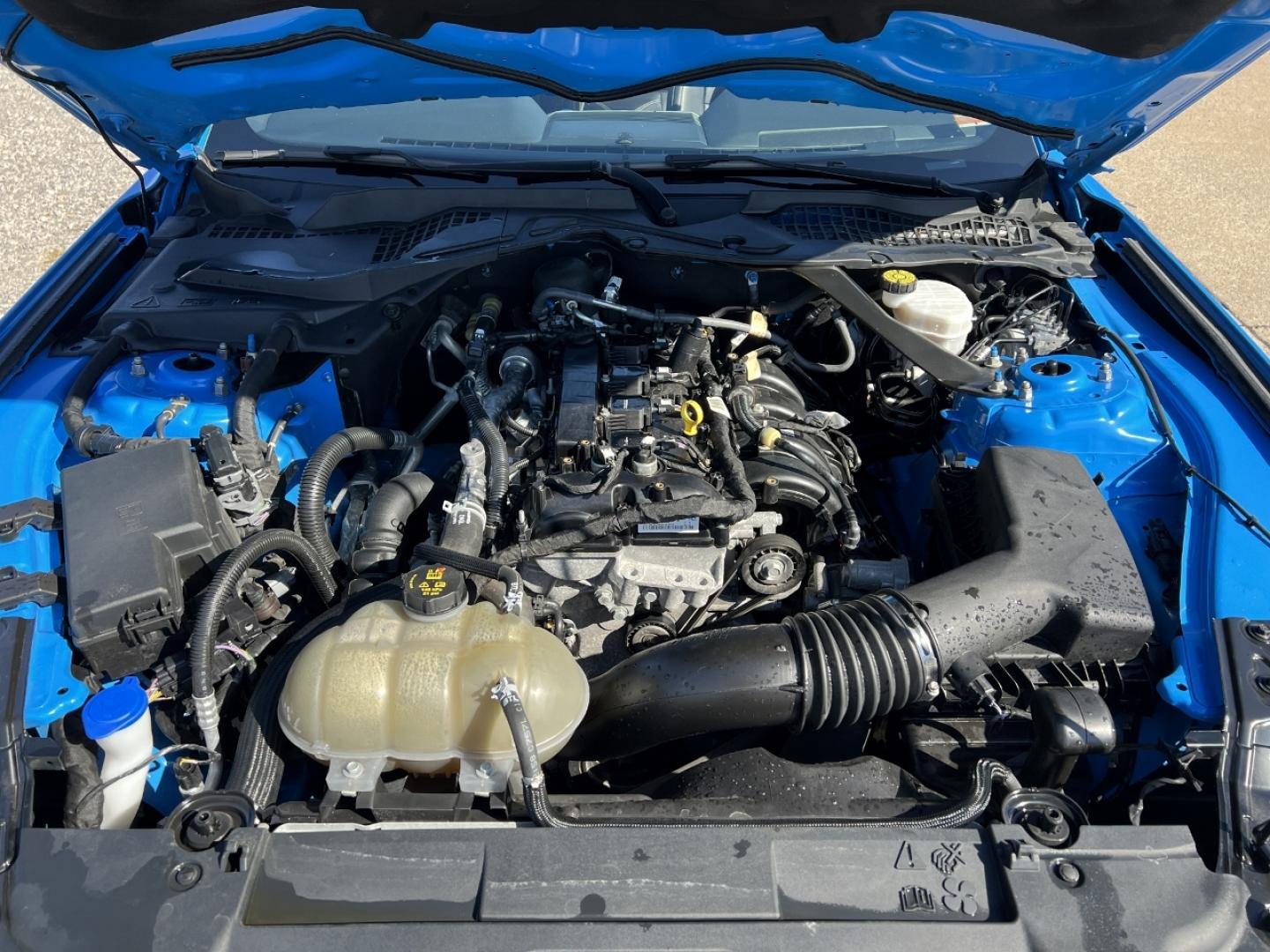 2022 BLUE /Black Leather Ford Mustang EcoBoost Premium Convertible (1FATP8UH4N5) with an 2.3L 4 Cyl. engine, Automatic transmission, located at 506 S. Kingshighway, Cape Girardeau, MO, 63703, (573) 235-5000, 37.294991, -89.553635 - 2022 Ford Mustang Ecoboost Premium 59xxx miles Rear Wheel Drive 2.3L 4 Cyl. Automatic Leather Power/Heated/Cooled Seats Backup Camera Bluetooth Remote Start Cruise Power Windows/Locks/Mirrors We have financing available and we accept trades! Fill out a credit application on our website o - Photo#35