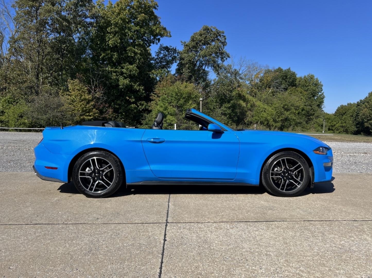 2022 BLUE /Black Leather Ford Mustang EcoBoost Premium Convertible (1FATP8UH4N5) with an 2.3L 4 Cyl. engine, Automatic transmission, located at 506 S. Kingshighway, Cape Girardeau, MO, 63703, (573) 235-5000, 37.294991, -89.553635 - 2022 Ford Mustang Ecoboost Premium 59xxx miles Rear Wheel Drive 2.3L 4 Cyl. Automatic Leather Power/Heated/Cooled Seats Backup Camera Bluetooth Remote Start Cruise Power Windows/Locks/Mirrors We have financing available and we accept trades! Fill out a credit application on our website o - Photo#8