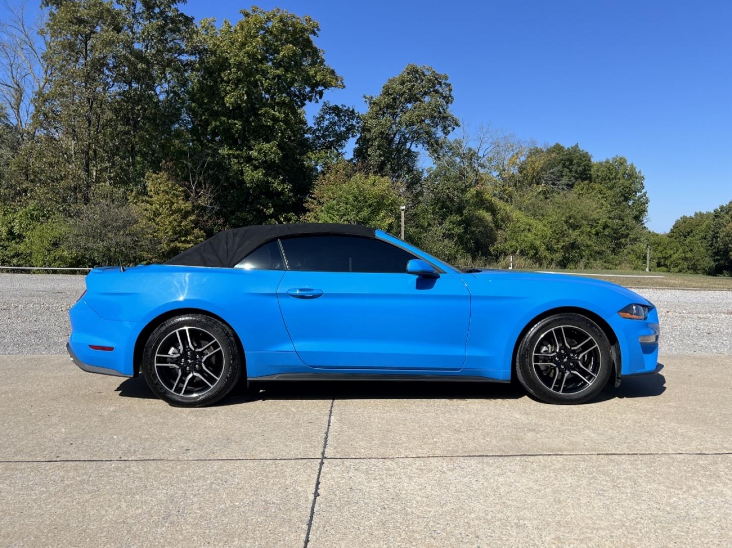 2022 BLUE /Black Leather Ford Mustang EcoBoost Premium Convertible (1FATP8UH4N5) with an 2.3L 4 Cyl. engine, Automatic transmission, located at 506 S. Kingshighway, Cape Girardeau, MO, 63703, (573) 235-5000, 37.294991, -89.553635 - 2022 Ford Mustang Ecoboost Premium 59xxx miles Rear Wheel Drive 2.3L 4 Cyl. Automatic Leather Power/Heated/Cooled Seats Backup Camera Bluetooth Remote Start Cruise Power Windows/Locks/Mirrors We have financing available and we accept trades! Fill out a credit application on our website o - Photo#14
