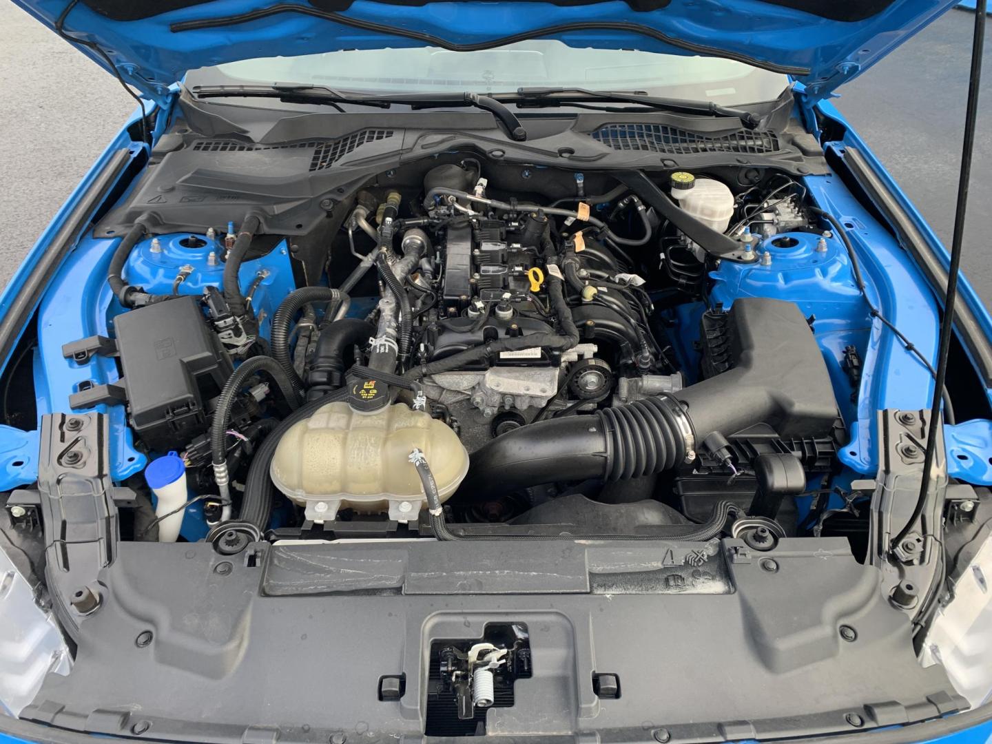 2022 BLUE /Black Leather Ford Mustang EcoBoost Premium Convertible (1FATP8UH4N5) with an 2.3L 4 Cyl. engine, Automatic transmission, located at 506 S. Kingshighway, Cape Girardeau, MO, 63703, (573) 235-5000, 37.294991, -89.553635 - 2022 Ford Mustang Ecoboost Premium 59xxx miles Rear Wheel Drive 2.3L 4 Cyl. Automatic Leather Power/Heated/Cooled Seats Backup Camera Bluetooth Remote Start Cruise Power Windows/Locks/Mirrors We have financing available and we accept trades! Fill out a credit application on our website o - Photo#7