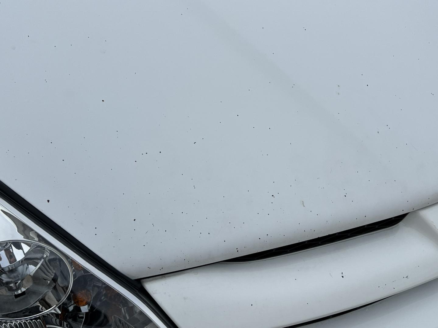 2009 WHITE /Gray Cloth Toyota Sienna CE FWD 7-Passenger (5TDZK23C79S) with an 3.5L V6 engine, Automatic transmission, located at 2990 Old Orchard Rd., Jackson, MO, 63755, 37.354214, -89.612106 - 2009 Toyota Sienna CE 193xxx miles Front Wheel Drive 3.5L V6 Automatic 3rd Row Cruise Power Windows/Locks/Mirrors We have financing available and we accept trades! Fill out a credit application on our website or come by today! If you have any questions, give us a call at (573) 204-7777 or v - Photo#32