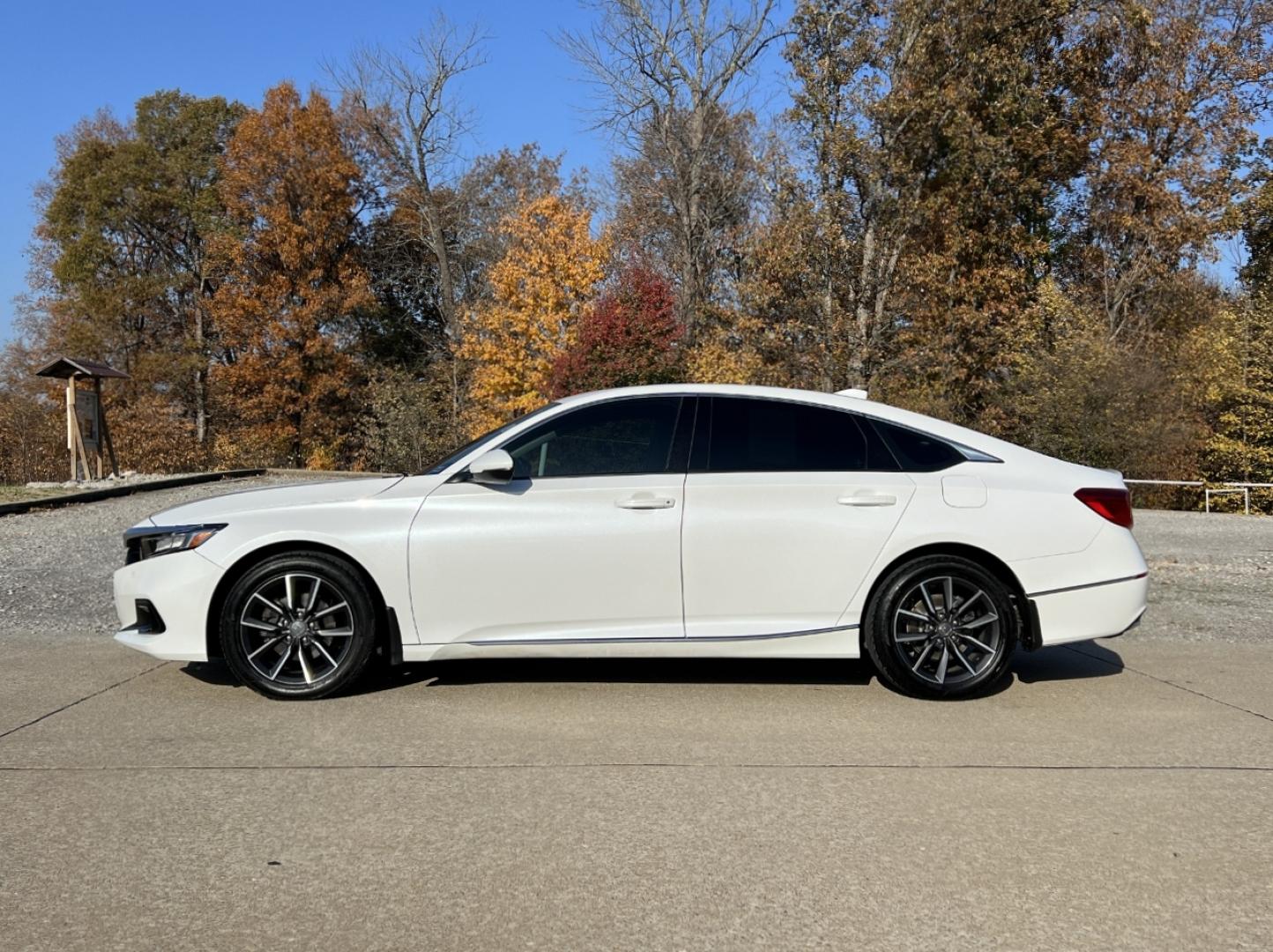2021 WHITE /Black Leather Honda Accord EX-L (1HGCV1F56MA) with an 1.5L 4 Cyl. TURBO engine, Automatic transmission, located at 2990 Old Orchard Rd., Jackson, MO, 63755, 37.354214, -89.612106 - 2021 Honda Accord EX-L 1-Owner 91xxx miles Front Wheel Drive 1.5L 4 Cyl. Automatic Leather Backup Camera Power/Heated Seats Sunroof Bluetooth Remote Start Cruise Power Windows/Locks/Mirrors We have financing available and we accept trades! Fill out a credit application on our website o - Photo#8