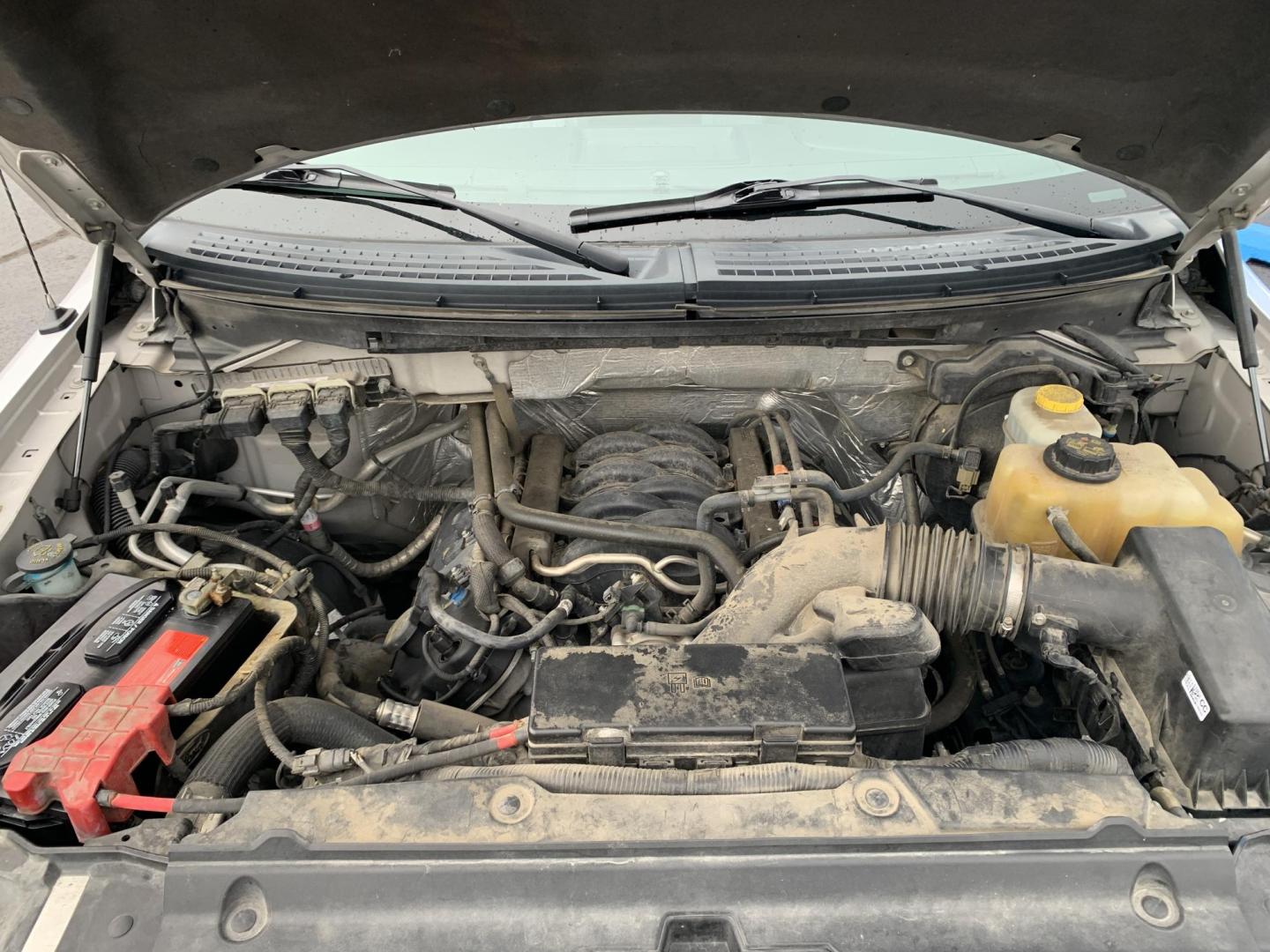 2014 SILVER /GRAY Ford F-150 XL SuperCrew 5.5-ft. Bed 4WD (1FTFW1EF3EK) with an 5.0L V8 engine, 6-Speed Automatic transmission, located at 506 S. Kingshighway, Cape Girardeau, MO, 63703, (573) 235-5000, 37.294991, -89.553635 - 2014 Ford F150 Lariat SuperCrew 4x4 5.0L V8 Air Conditioning Power Windows Power Locks Power Steering Tilt Wheel Satellite Keyless Entry Alarm Dual Front Airbags Side Airbags Head Airbags Rear Head Airbags Crew Cab Regular Bed All Wheel ABS 1/2 Ton We have financing available and - Photo#17