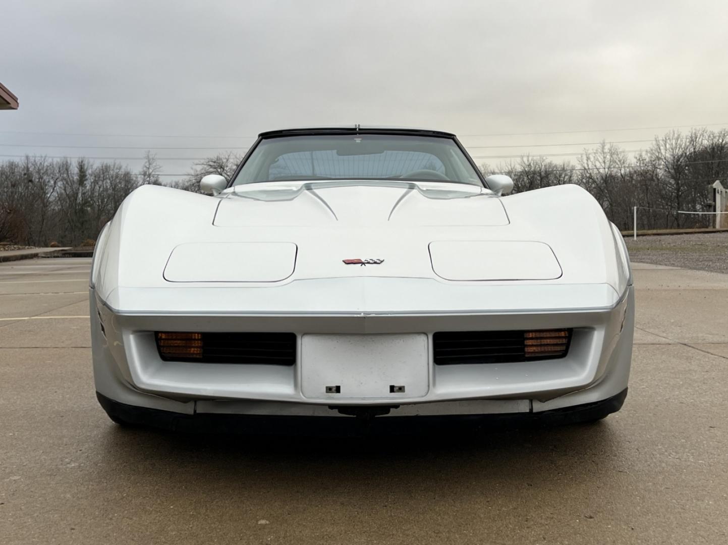 1982 WHITE /Gray Chevrolet Corvette Coupe (1G1AY878XC5) with an 5.7L V8 engine, Automatic transmission, located at 2990 Old Orchard Rd., Jackson, MO, 63755, 37.354214, -89.612106 - 1982 Chevrolet Corvette Only 67xxx miles Rear Wheel Drive 5.7L V8 Automatic Leather Power Driver Seat Cruise Power Windows/Locks/Mirrors We have financing available and we accept trades! Fill out a credit application on our website or come by today! If you have any questions, give us a cal - Photo#10