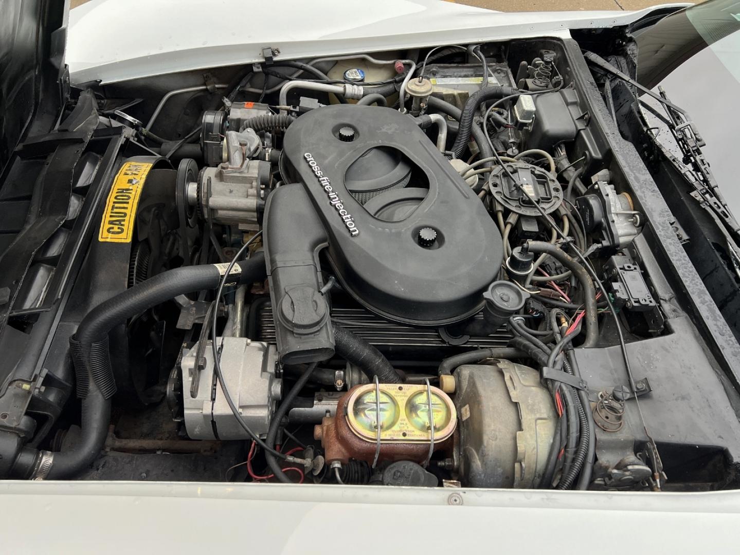 1982 WHITE /Gray Chevrolet Corvette Coupe (1G1AY878XC5) with an 5.7L V8 engine, Automatic transmission, located at 2990 Old Orchard Rd., Jackson, MO, 63755, 37.354214, -89.612106 - 1982 Chevrolet Corvette Only 67xxx miles Rear Wheel Drive 5.7L V8 Automatic Leather Power Driver Seat Cruise Power Windows/Locks/Mirrors We have financing available and we accept trades! Fill out a credit application on our website or come by today! If you have any questions, give us a cal - Photo#24