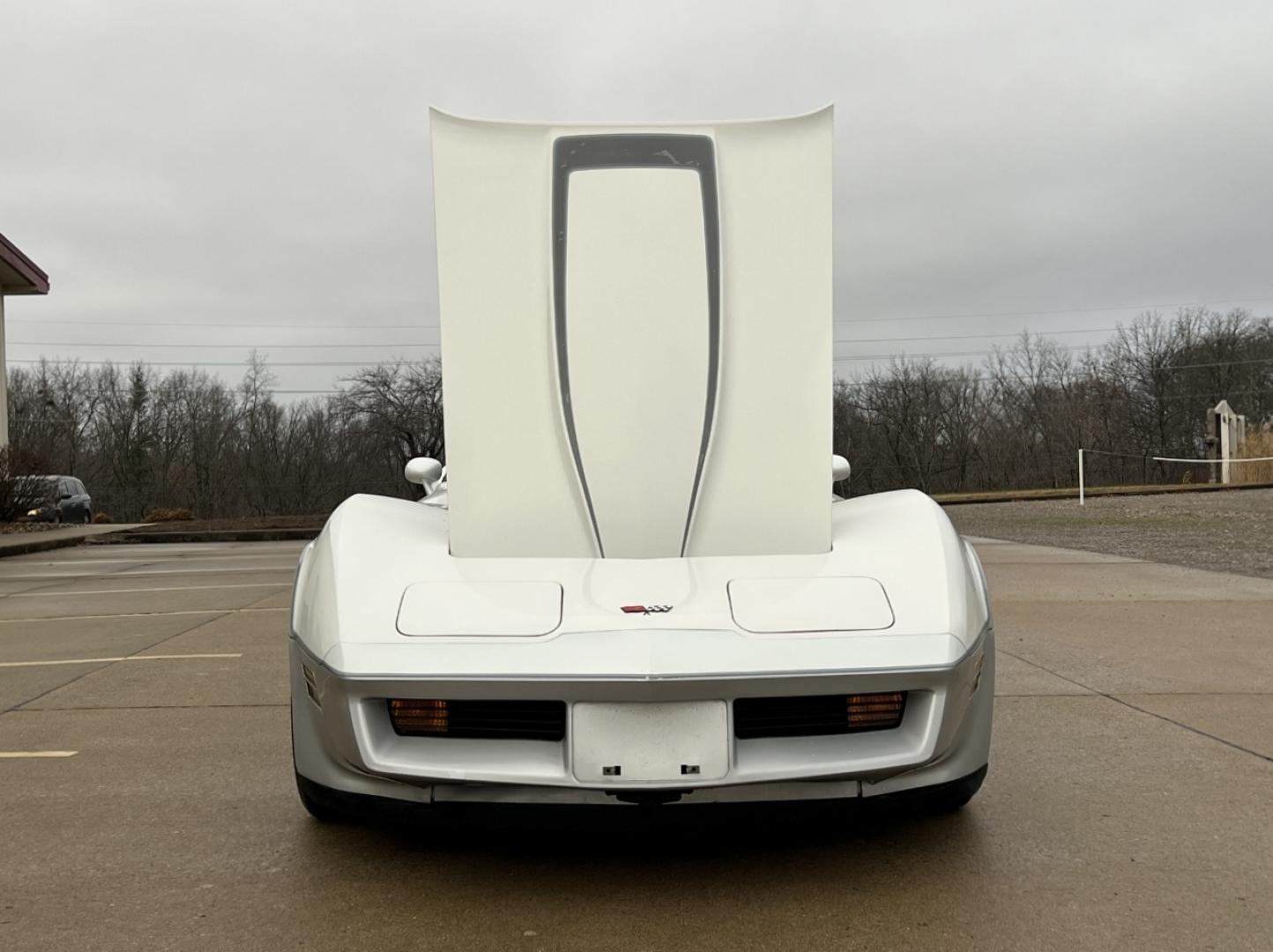 1982 WHITE /Gray Chevrolet Corvette Coupe (1G1AY878XC5) with an 5.7L V8 engine, Automatic transmission, located at 2990 Old Orchard Rd., Jackson, MO, 63755, 37.354214, -89.612106 - 1982 Chevrolet Corvette Only 67xxx miles Rear Wheel Drive 5.7L V8 Automatic Leather Power Driver Seat Cruise Power Windows/Locks/Mirrors We have financing available and we accept trades! Fill out a credit application on our website or come by today! If you have any questions, give us a cal - Photo#23