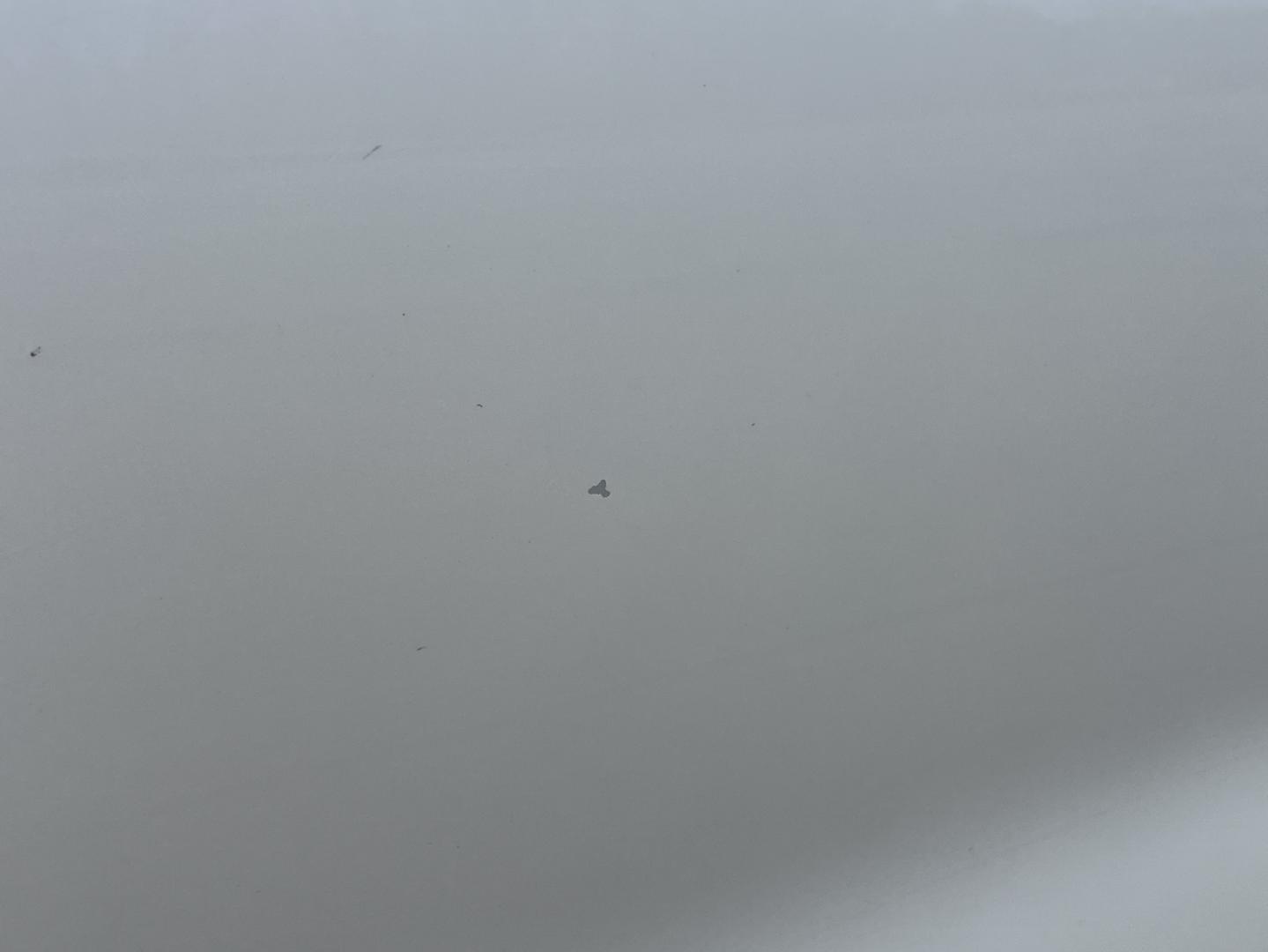 2018 WHITE /Tan Buick Enclave Essence FWD (5GAERBKW4JJ) with an 3.6L V6 engine, Automatic transmission, located at 2990 Old Orchard Rd., Jackson, MO, 63755, 37.354214, -89.612106 - 2018 Buick Enclave Essence 1-Owner 87xxx miles Front Wheel Drive 3.6L V6 Automatic Leather 3rd Row Navigation Power/Heated Seats Backup Camera Sunroof Bluetooth Remote Start Cruise Power Windows/Locks/Mirrors We have financing available and we accept trades! Fill out a credit applica - Photo#47