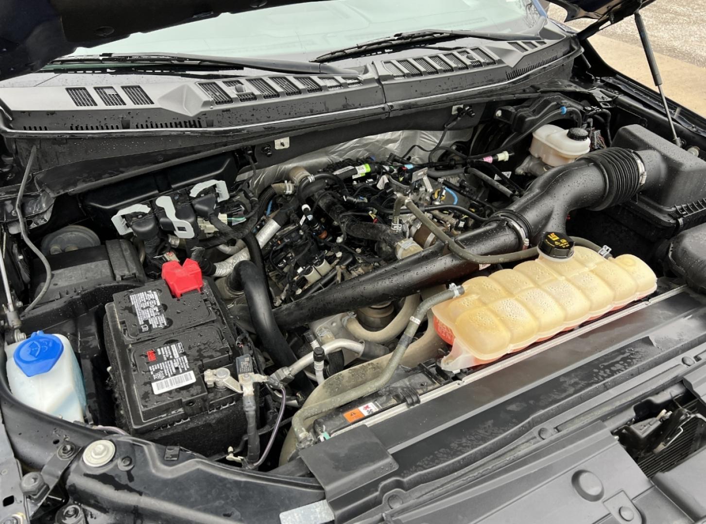 2020 BLUE /Gray Ford F-150 XLT SuperCrew 6.5-ft. Bed 4WD (1FTEW1EP2LK) with an 2.7L V6 engine, Automatic transmission, located at 2990 Old Orchard Rd., Jackson, MO, 63755, 37.354214, -89.612106 - 2020 Ford F-150 XLT 1-Owner 53xxx miles 4x4 2.7L V6 Automatic Backup Camera Power Driver Seat Bluetooth Cruise Power Windows/Locks/Mirrors We have financing available and we accept trades! Fill out a credit application on our website or come by today! If you have any questions, give us a - Photo#33