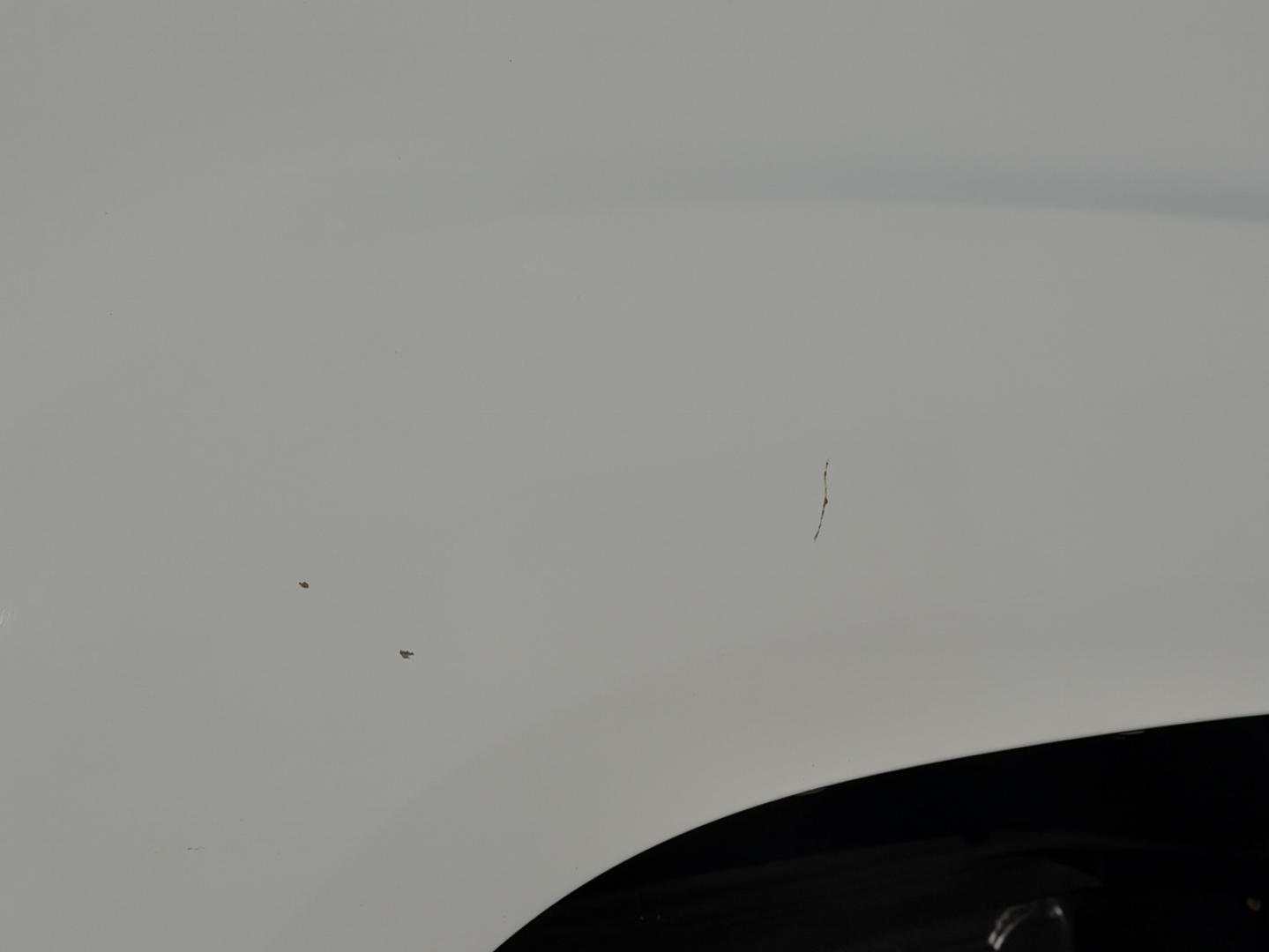 2010 WHITE /Black GMC Sierra 1500 SLT Ext. Cab 4WD (1GTSKWE31AZ) with an 5.3L V8 engine, Automatic transmission, located at 2990 Old Orchard Rd., Jackson, MO, 63755, 37.354214, -89.612106 - 2010 GMC Sierra 1500 SLT 163xxx miles 4x4 5.3L V8 Automatic Power/Heated Seats Remote Start Cruise Power Windows/Locks/Mirrors We have financing available and we accept trades! Fill out a credit application on our website or come by today! If you have any questions, give us a call at (573) - Photo#48