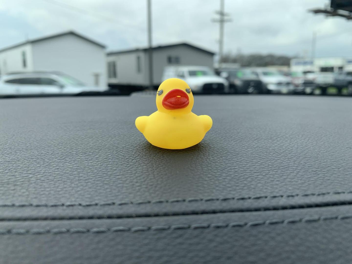 2019 BLACK /BLACK Jeep Grand Cherokee Overland 4WD (1C4RJFCG1KC) with an 3.6L V6 DOHC 24V engine, Automatic transmission, located at 506 S. Kingshighway, Cape Girardeau, MO, 63703, (573) 235-5000, 37.294991, -89.553635 - 2019 Jeep Grand Cherokee Overland 4WD Only 74,xxx miles Alarm System Bluetooth Cruise Control Dual Power Front Seats Folding Rear Seat Heated Seats Heated Steering Wheel Integrated Garage Door Opener Leather Seats Navigation System Power Driver's Seat Power Windows Rear Window Defroste - Photo#37