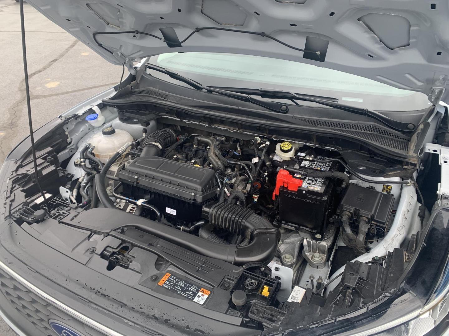 2025 WHITE /BLACK Ford Escape Active (1FMCU0GN4SU) with an 1.5L L3 engine, Automatic transmission, located at 506 S. Kingshighway, Cape Girardeau, MO, 63703, (573) 235-5000, 37.294991, -89.553635 - 2025 Ford Escape Active One Owner 28,xxx miles Power Windows/Locks/Mirrors Rear Window Defroster Bluetooth Power Outlet Steering Wheel Controls Tilt Steering Wheel Folding Rear Seat Cloth Seats Cruise Control Remote Keyless Entry Push-Button Engine Start Touch Screen Monitor We have - Photo#2