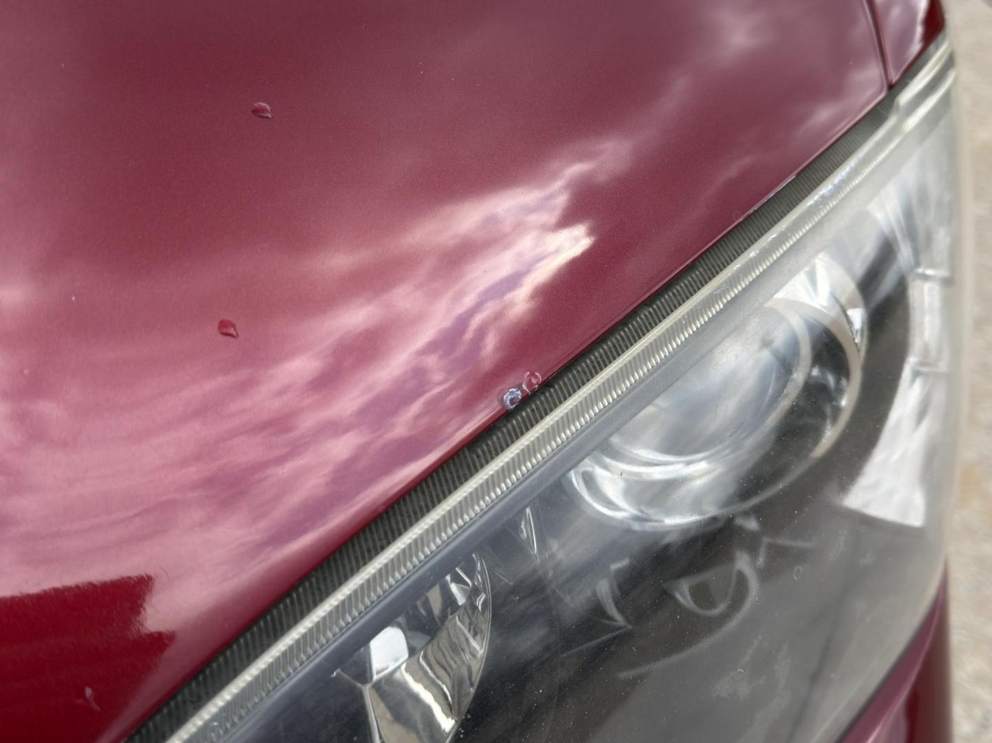 2009 MAROON /Black Pontiac G8 Base (6G2ER577X9L) with an 3.6L V6 engine, Automatic transmission, located at 2990 Old Orchard Rd., Jackson, MO, 63755, 37.354214, -89.612106 - 2009 Pontiac G8 82xxx miles Rear Wheel Drive 3.6L V6 Automatic Leather Power/Heated Seats Sunroof Remote Start Cruise Power Windows/Locks/Mirrors We have financing available and we accept trades! Fill out a credit application on our website or come by today! If you have any questions, gi - Photo#38