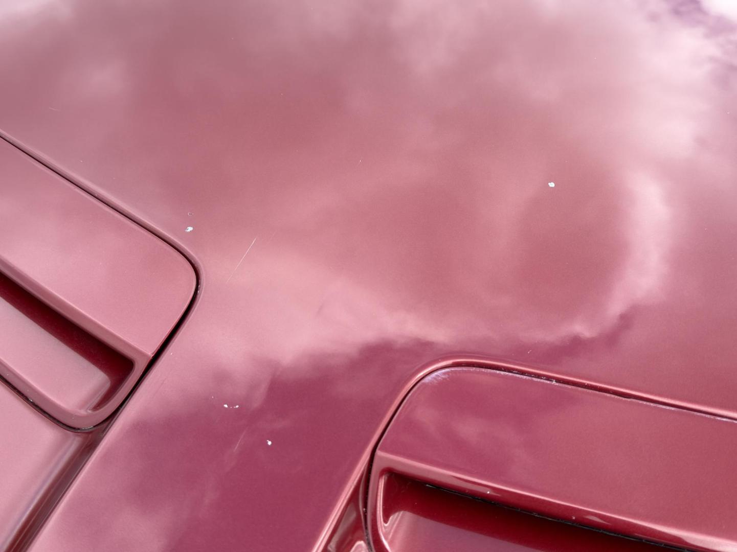 2009 MAROON /Black Pontiac G8 Base (6G2ER577X9L) with an 3.6L V6 engine, Automatic transmission, located at 2990 Old Orchard Rd., Jackson, MO, 63755, 37.354214, -89.612106 - 2009 Pontiac G8 82xxx miles Rear Wheel Drive 3.6L V6 Automatic Leather Power/Heated Seats Sunroof Remote Start Cruise Power Windows/Locks/Mirrors We have financing available and we accept trades! Fill out a credit application on our website or come by today! If you have any questions, gi - Photo#37