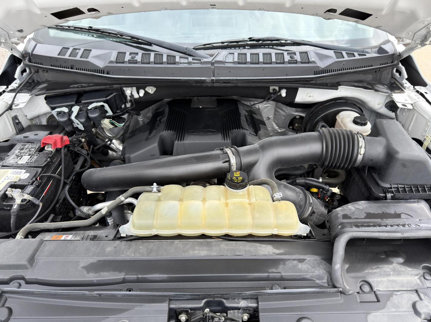 2020 WHITE /Gray Ford F-150 XL SuperCab 8-ft. 2WD (1FTEX1C43LK) with an 3.5L V6 engine, Automatic transmission, located at 2990 Old Orchard Rd., Jackson, MO, 63755, 37.354214, -89.612106 - 2020 Ford F-150 XL 1-Owner 101xxx miles Rear Wheel Drive 3.5L V6 Automatic Backup Camera Bluetooth Cruise Power Windows/Locks/Mirrors We have financing available and we accept trades! Fill out a credit application on our website or come by today! If you have any questions, give us a call - Photo#31