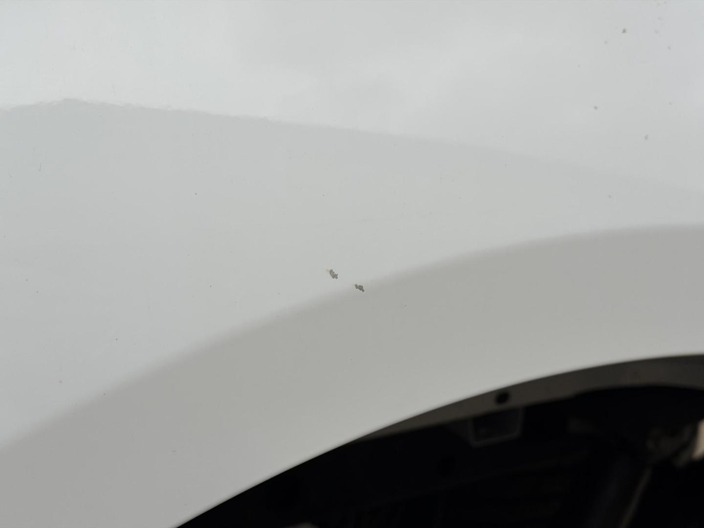 2020 WHITE /Gray Ford F-150 XL SuperCab 8-ft. 2WD (1FTEX1C43LK) with an 3.5L V6 engine, Automatic transmission, located at 2990 Old Orchard Rd., Jackson, MO, 63755, 37.354214, -89.612106 - 2020 Ford F-150 XL 1-Owner 101xxx miles Rear Wheel Drive 3.5L V6 Automatic Backup Camera Bluetooth Cruise Power Windows/Locks/Mirrors We have financing available and we accept trades! Fill out a credit application on our website or come by today! If you have any questions, give us a call - Photo#37