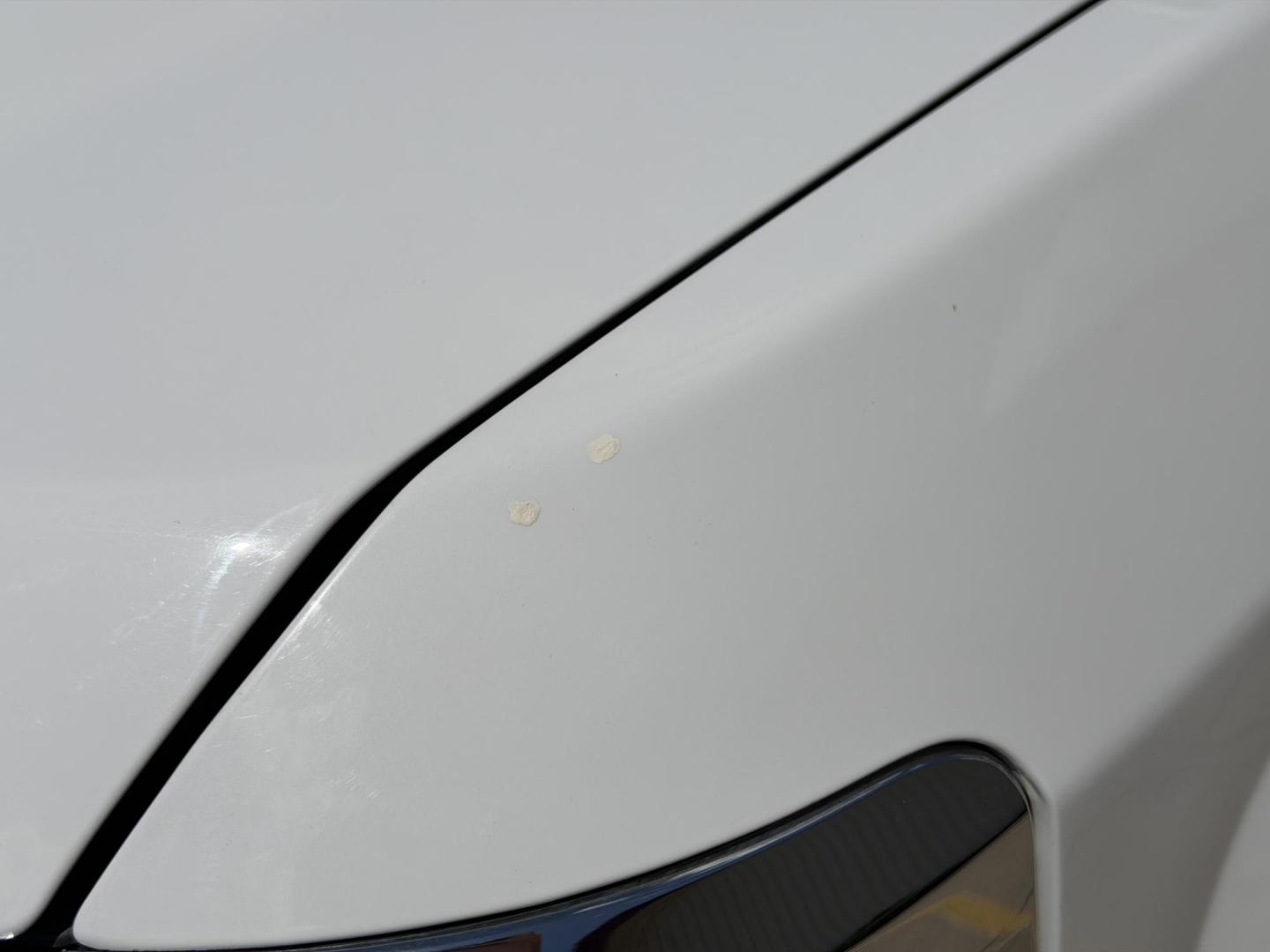 2015 WHITE /Black Chevrolet Silverado 1500 LT Crew Cab 4WD (3GCUKREC8FG) with an 5.3L V8 engine, Automatic transmission, located at 2990 Old Orchard Rd., Jackson, MO, 63755, 37.354214, -89.612106 - 2015 Chevrolet Silverado 1500 LT 145xxx miles 4x4 5.3L V8 Automatic Backup Camera Power Driver Seat Bluetooth Remote Start Cruise Power Windows/Locks/Mirrors We have financing available and we accept trades! Fill out a credit application on our website or come by today! If you have any q - Photo#44