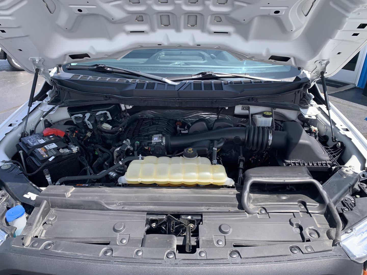 2021 WHITE /GRAY Ford F-150 SuperCrew 4WD (1FTEW1EB6MK) with an 3.3L V6 DOHC 24V engine, Automatic transmission, located at 506 S. Kingshighway, Cape Girardeau, MO, 63703, (573) 235-5000, 37.294991, -89.553635 - 2021 Ford F-150 SuperCrew 60,xxx miles 4wd Power Windows Rear Window Defroster 12V Power Outlet Steering Wheel Controls Tilt Steering Wheel Alarm System Cruise Control Remote Keyless Entry We have financing available and we accept trades! Fill out a credit application on our website or - Photo#2