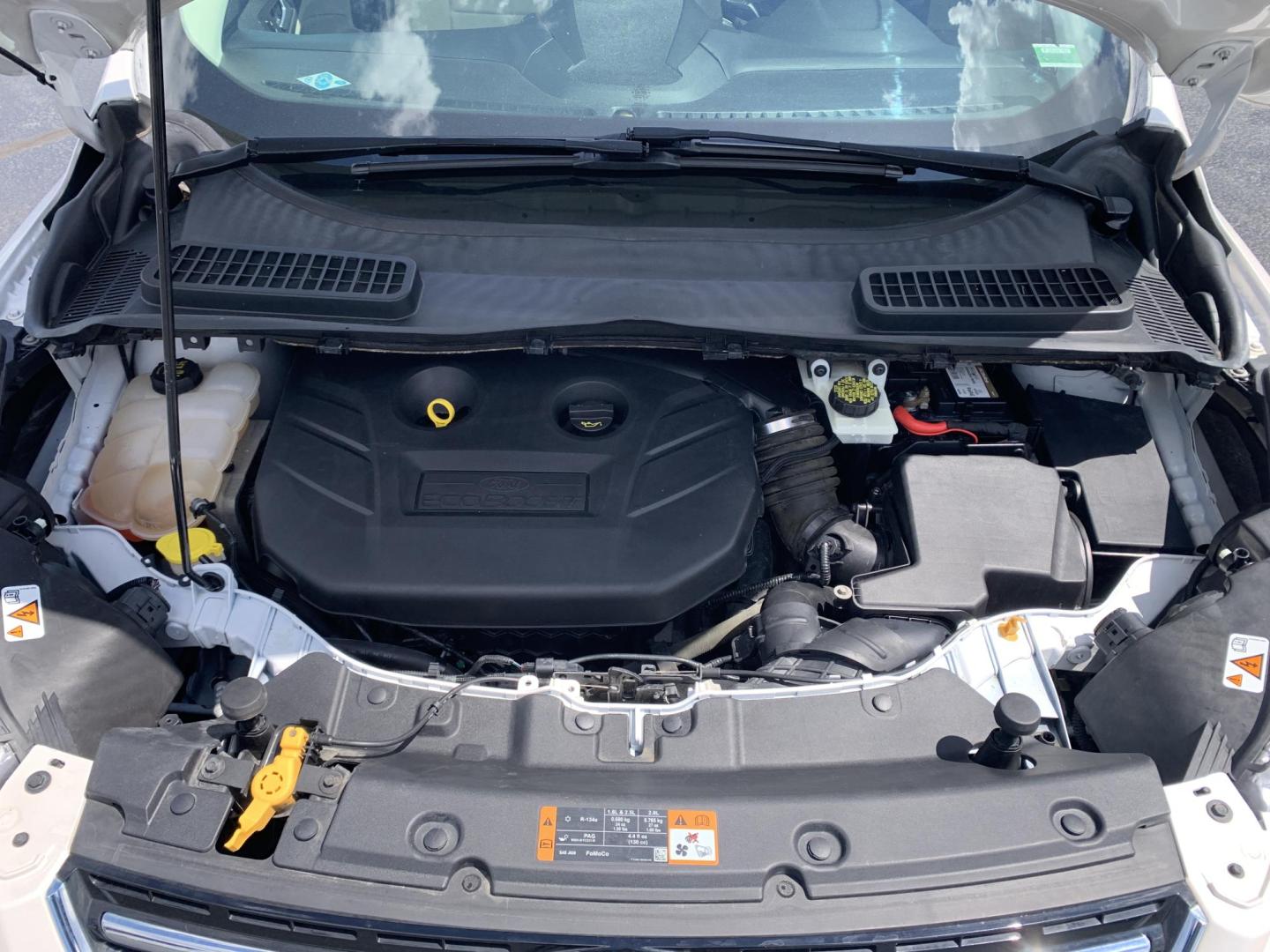 2014 WHITE /TAN Ford Escape Titanium 4WD (1FMCU9J92EU) with an 2.0L L4 DOHC 16V engine, Automatic transmission, located at 506 S. Kingshighway, Cape Girardeau, MO, 63703, (573) 235-5000, 37.294991, -89.553635 - 2014 Ford Escape Titanium 4WD 115,xxx miles Heated Seats Power Seat Sunroof 4WD Backup Cam Leather Keyless Entry Remote Start Power Windows/Locks/Mirrors We have financing available and we accept trades! Fill out a credit application on our website or come by today! If you have any q - Photo#2