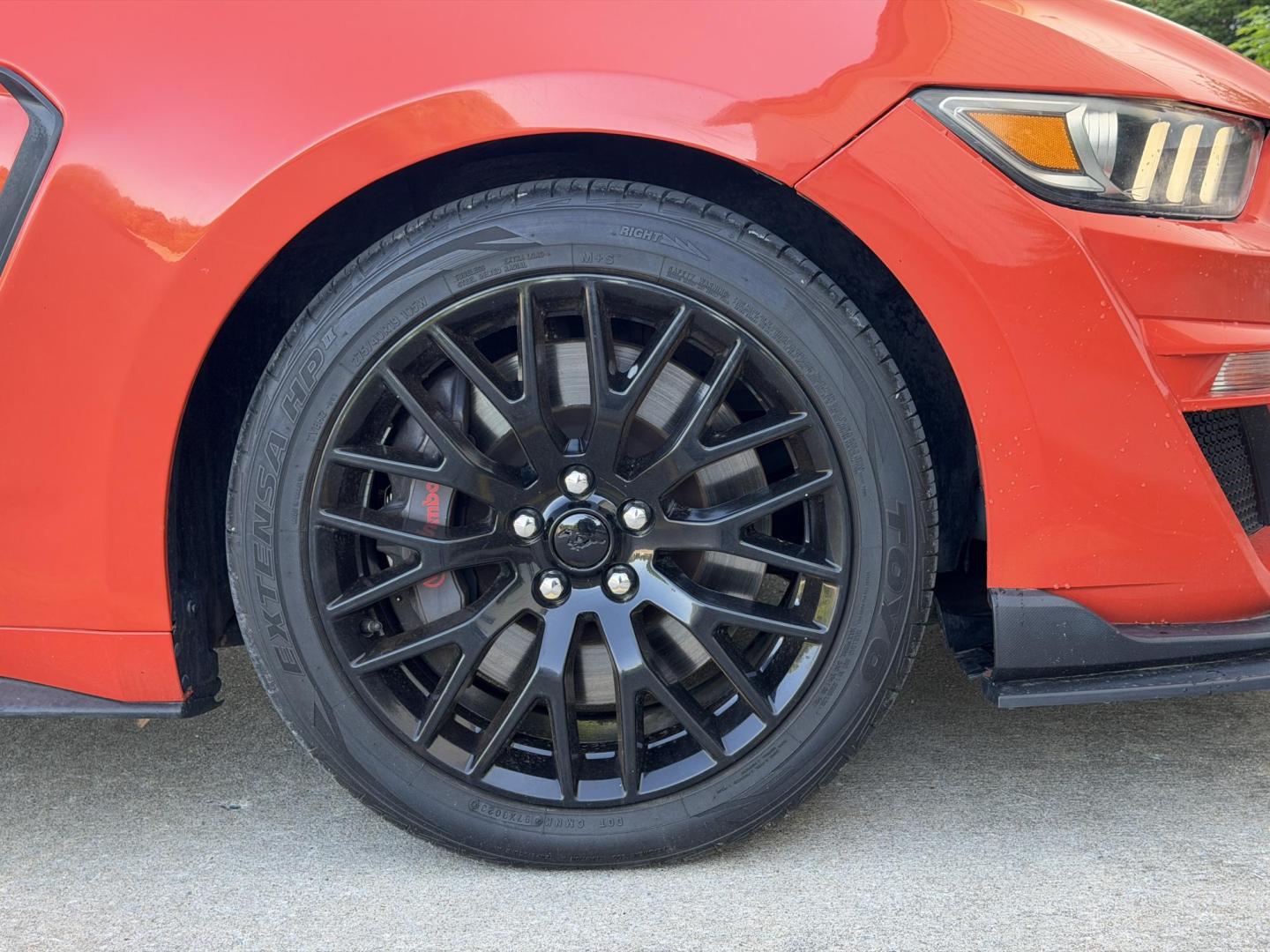 2015 Orange /Black Ford Mustang GT Coupe (1FA6P8CF1F5) with an 5.0L V8 engine, Manual transmission, located at 2990 Old Orchard Rd., Jackson, MO, 63755, 37.354214, -89.612106 - 2015 Ford Mustang GT 82xxx miles Rear Wheel Drive 5.0L V8 6-Speed Manual Leather Power/Heated/Cooled Seats Backup Camera Bluetooth Remote Start Cruise Power Windows/Locks/Mirrors We have financing available and we accept trades! Fill out a credit application on our website or come by tod - Photo#36