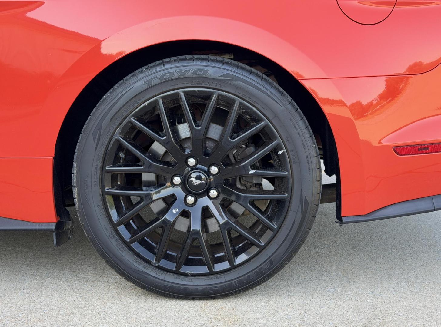2015 Orange /Black Ford Mustang GT Coupe (1FA6P8CF1F5) with an 5.0L V8 engine, Manual transmission, located at 2990 Old Orchard Rd., Jackson, MO, 63755, 37.354214, -89.612106 - 2015 Ford Mustang GT 82xxx miles Rear Wheel Drive 5.0L V8 6-Speed Manual Leather Power/Heated/Cooled Seats Backup Camera Bluetooth Remote Start Cruise Power Windows/Locks/Mirrors We have financing available and we accept trades! Fill out a credit application on our website or come by tod - Photo#34