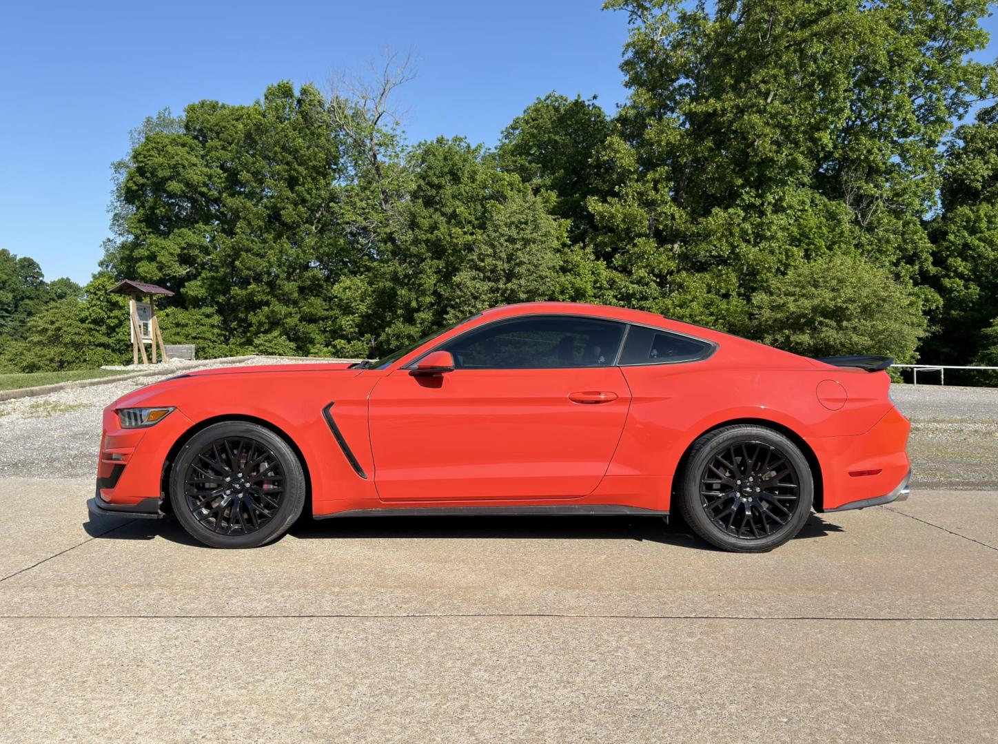 2015 Orange /Black Ford Mustang GT Coupe (1FA6P8CF1F5) with an 5.0L V8 engine, Manual transmission, located at 2990 Old Orchard Rd., Jackson, MO, 63755, 37.354214, -89.612106 - 2015 Ford Mustang GT 82xxx miles Rear Wheel Drive 5.0L V8 6-Speed Manual Leather Power/Heated/Cooled Seats Backup Camera Bluetooth Remote Start Cruise Power Windows/Locks/Mirrors We have financing available and we accept trades! Fill out a credit application on our website or come by tod - Photo#6