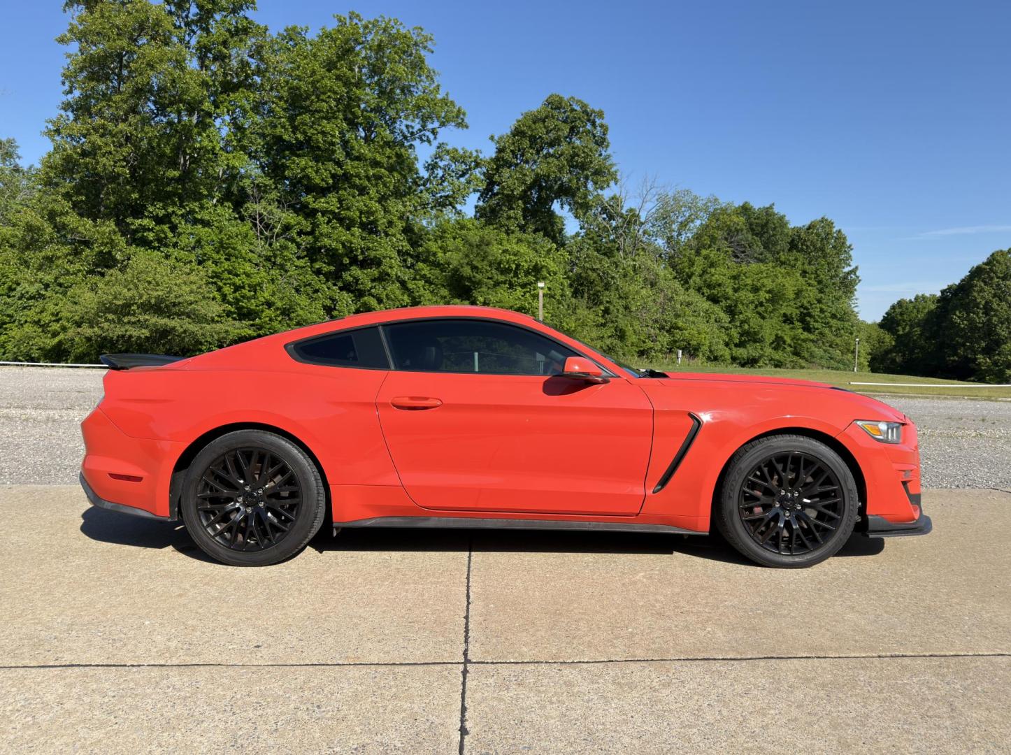 2015 Orange /Black Ford Mustang GT Coupe (1FA6P8CF1F5) with an 5.0L V8 engine, Manual transmission, located at 2990 Old Orchard Rd., Jackson, MO, 63755, 37.354214, -89.612106 - 2015 Ford Mustang GT 82xxx miles Rear Wheel Drive 5.0L V8 6-Speed Manual Leather Power/Heated/Cooled Seats Backup Camera Bluetooth Remote Start Cruise Power Windows/Locks/Mirrors We have financing available and we accept trades! Fill out a credit application on our website or come by tod - Photo#7